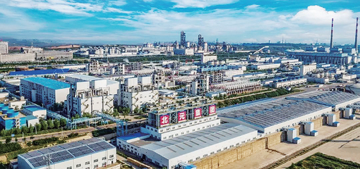 推進能源化工基地建設(shè)和生態(tài)環(huán)境保護協(xié)調(diào)發(fā)展