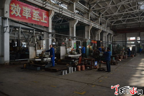 王軍調研天水岷山廠片區(qū)規(guī)劃建設情況