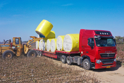 非凡十年 | 新疆生產(chǎn)建設兵團︰努力形成新時代兵團維穩(wěn)戍邊新優(yōu)勢