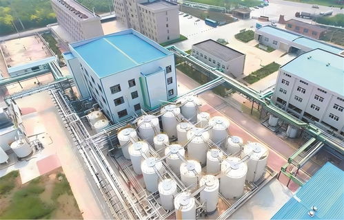 高青 以工業技改驅動引擎，加速企業轉型升級與高質量發展