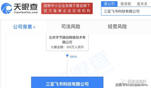 字節跳動成立三亞飛書科技公司