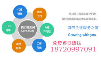 會計 會計的分類